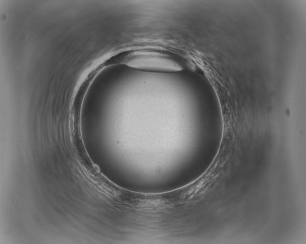 X0000068280342200604241238