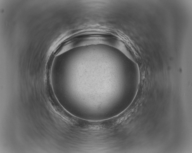 X0000068280344200604241238