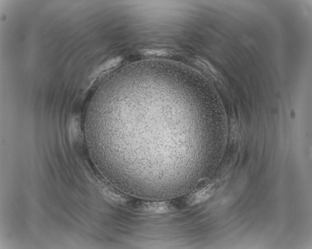 X0000068280377200604241239
