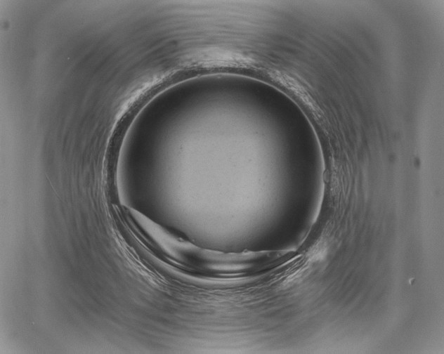 X0000068280391200604241238