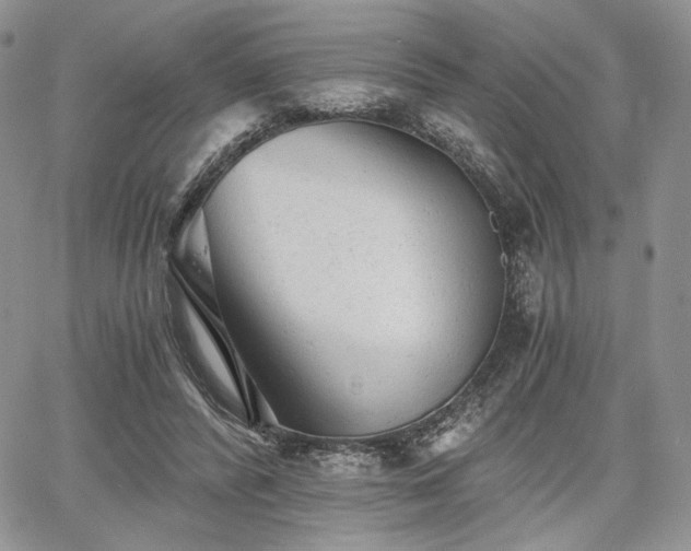 X0000068280400200604241238