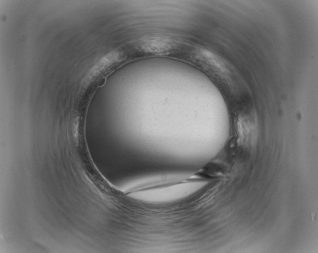 X0000068280404200604241238