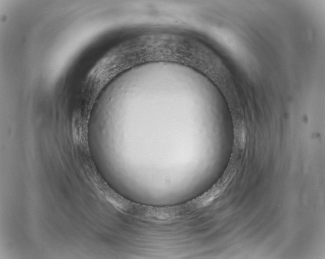 X0000068280431200604241237