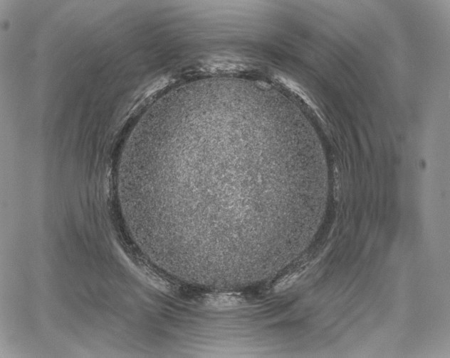 X0000068280451200604241237