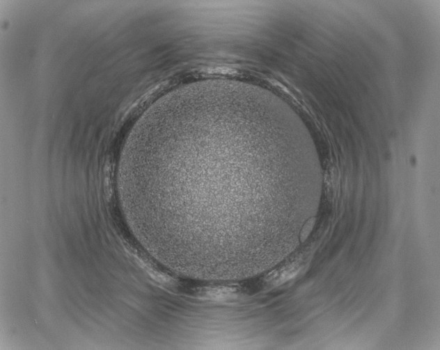 X0000068280462200604241237