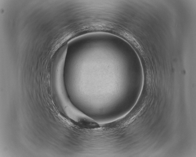 X0000068280481200604241237