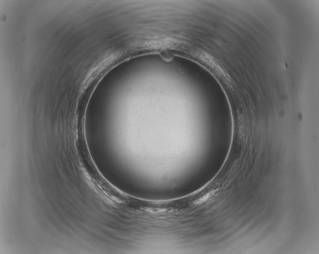 X0000068280486200604241236