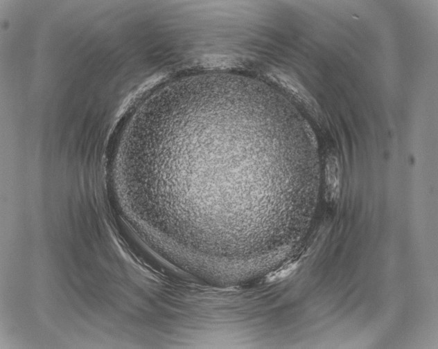 X0000068280492200604241236
