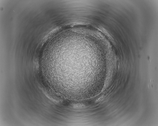 X0000068280500200604241236