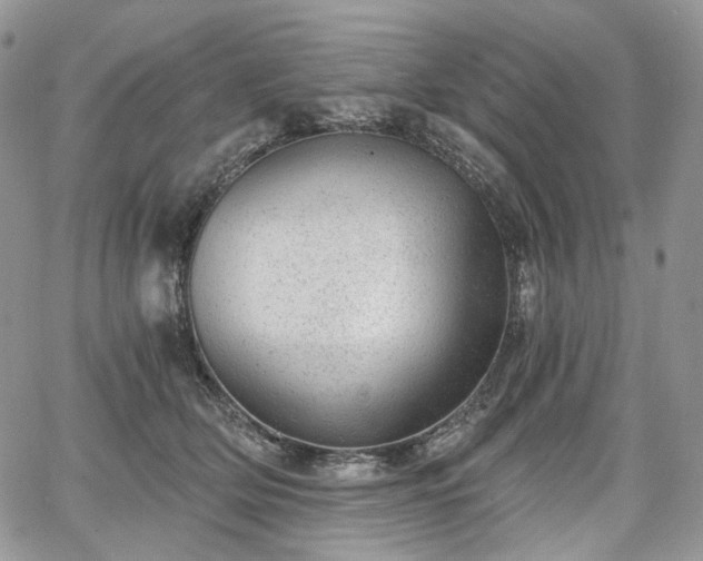 X0000068280514200604241236