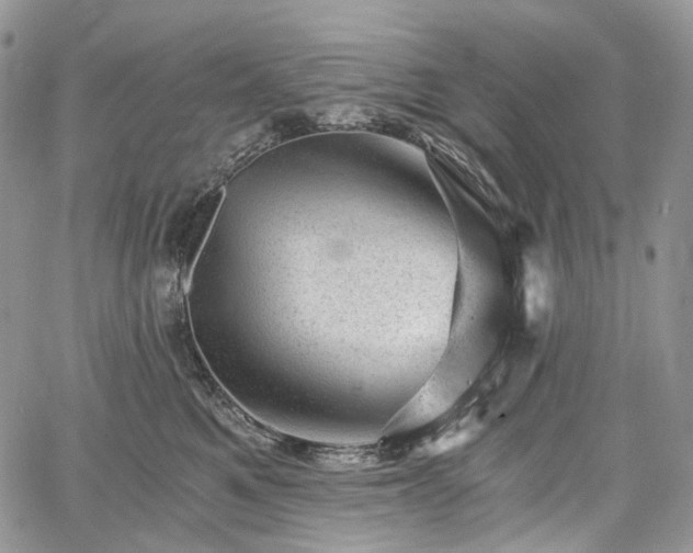 X0000068280521200604241236