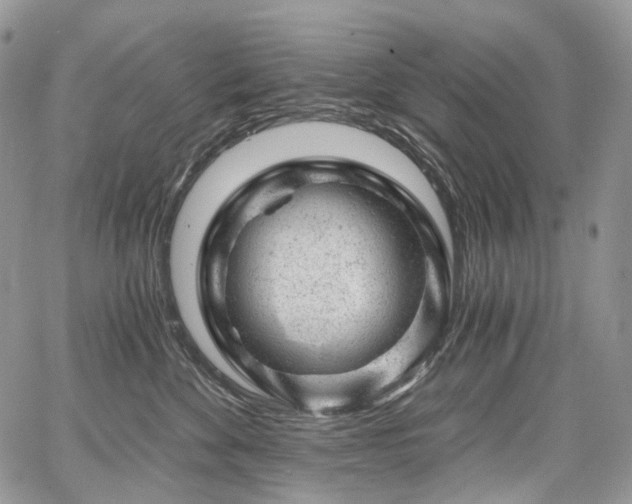 X0000068280524200604241236
