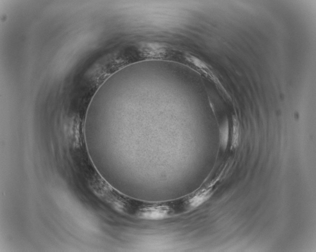 X0000068280525200604241236