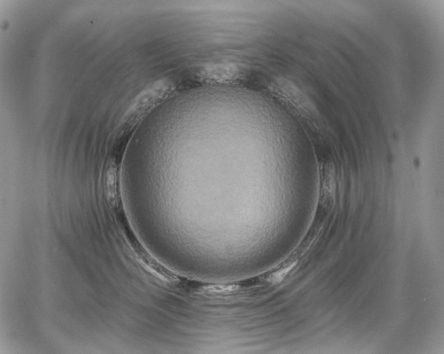 X0000068280526200604241236