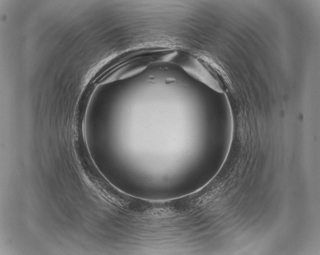 X0000068280536200604241235