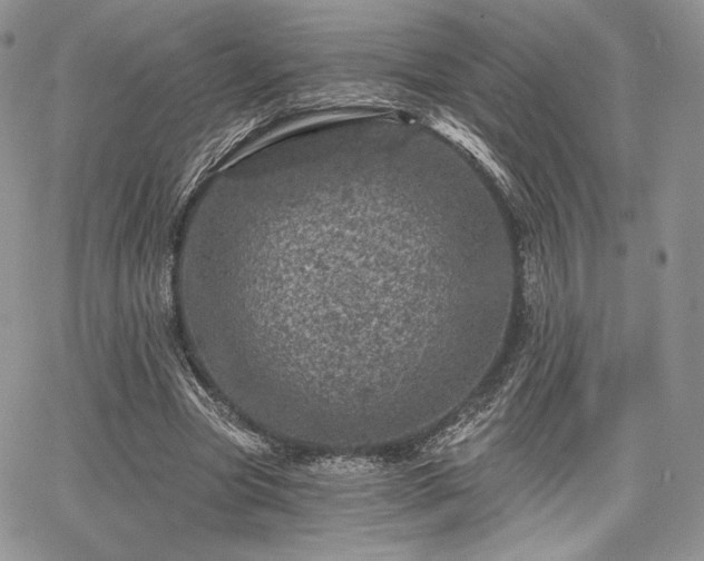 X0000068280537200604241235