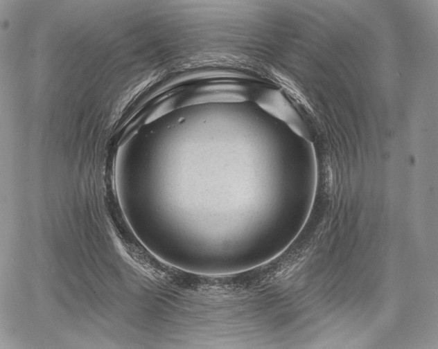 X0000068280538200604241235