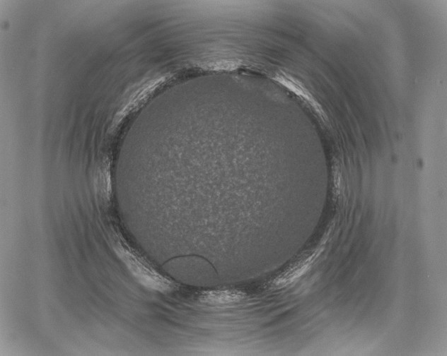 X0000068280541200604241235