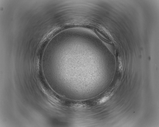 X0000068280542200604241235