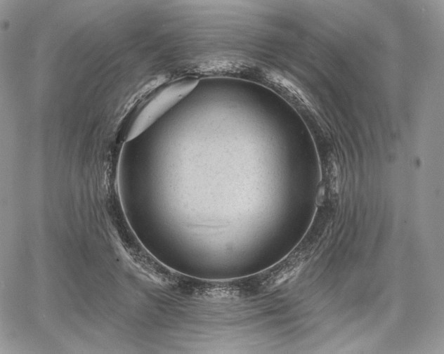 X0000068280546200604241235