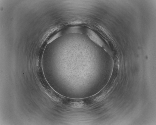 X0000068280548200604241235