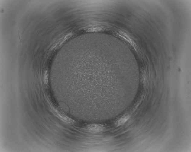 X0000068280549200604241235