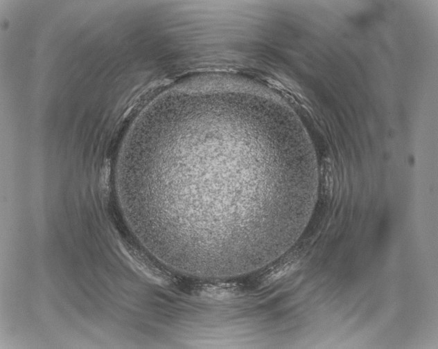 X0000068280550200604241235