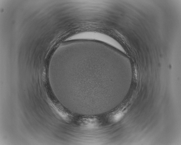 X0000068280552200604241235