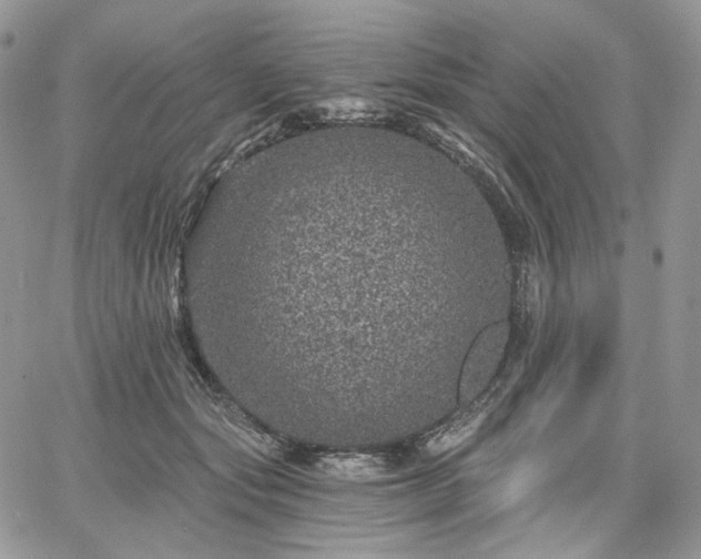 X0000068280557200604241235