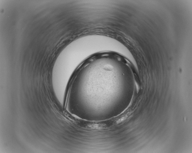 X0000068280558200604241235