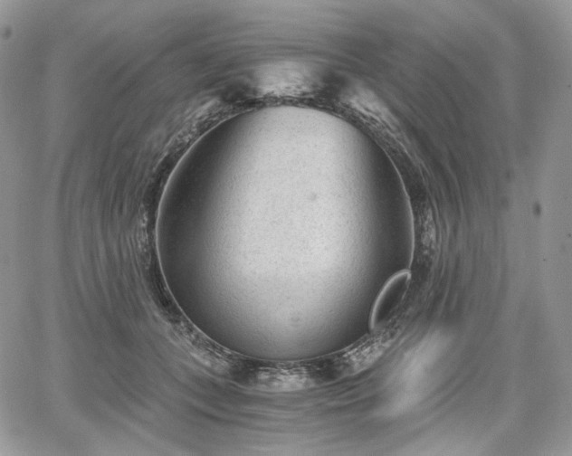 X0000068280559200604241235