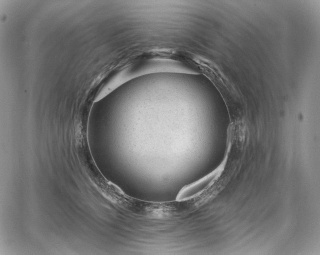 X0000068280564200604241236