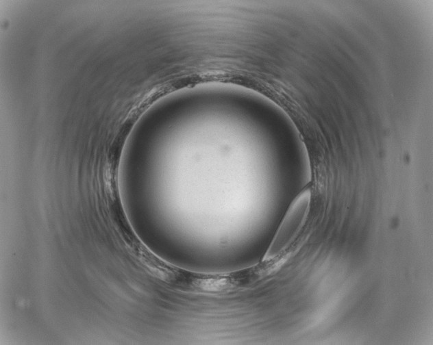 X0000068280575200604241236