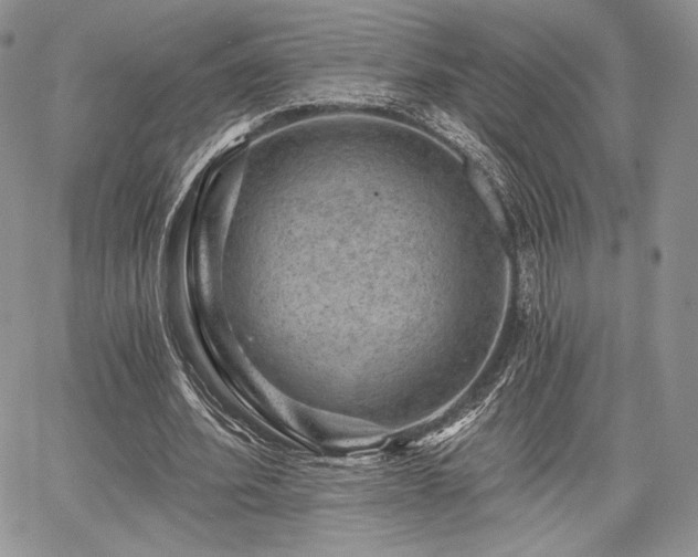 X0000068280580200604241235