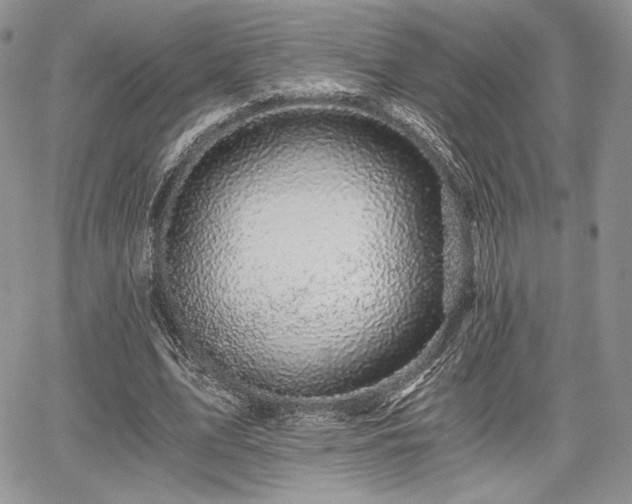 X0000068280583200604241235