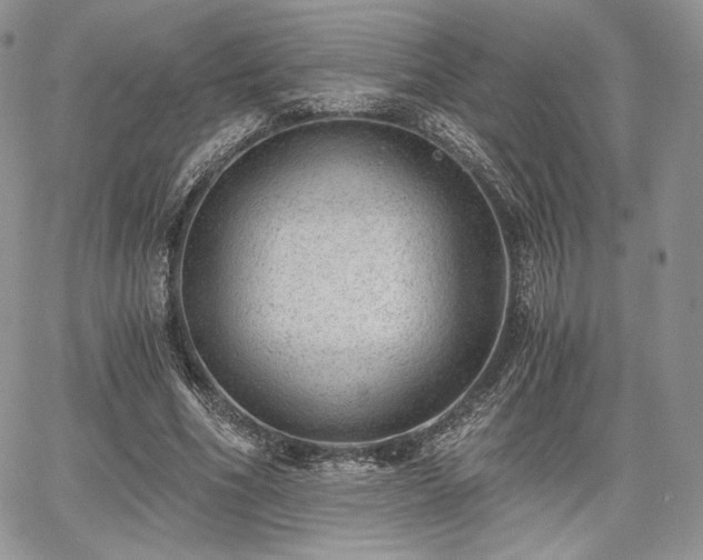 X0000068280586200604241235