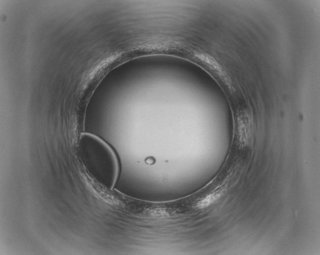 X0000068280588200604241235