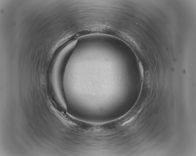 X0000068280589200604241235