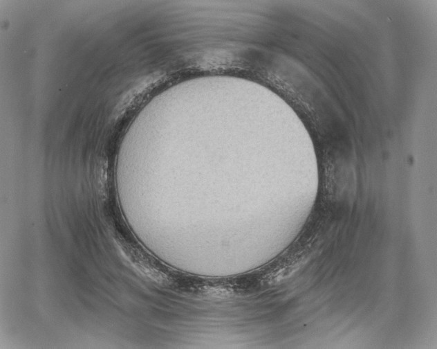 X0000068280592200604241235