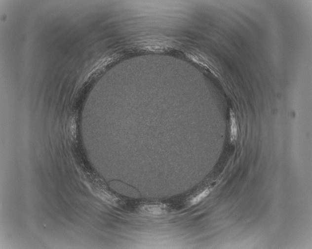 X0000068280595200604241235