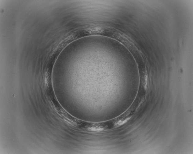X0000068280604200604241235