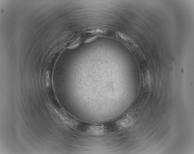 X0000068280606200604241235