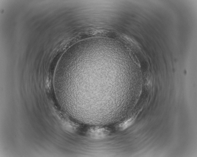 X0000068280607200604241234