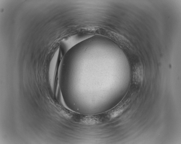 X0000068280608200604241234