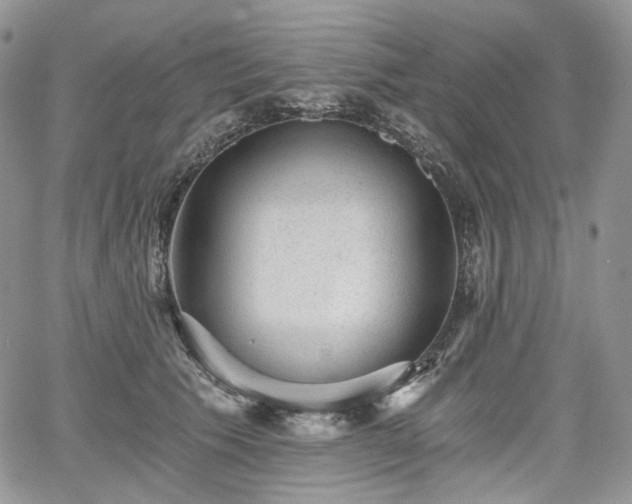 X0000068280609200604241234