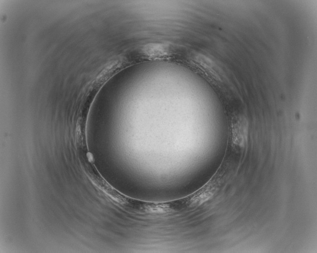 X0000068280618200604241234