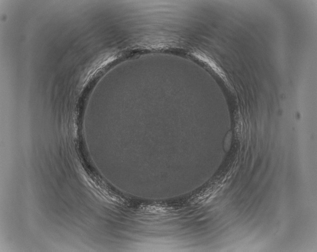 X0000068280635200604241234