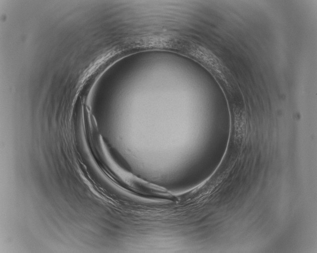X0000068280674200604241233