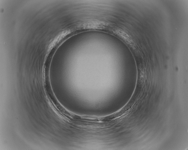 X0000068280678200604241233