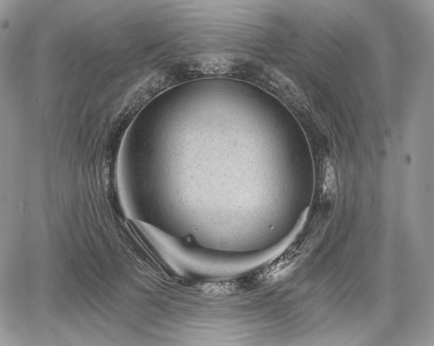 X0000068280697200604241233